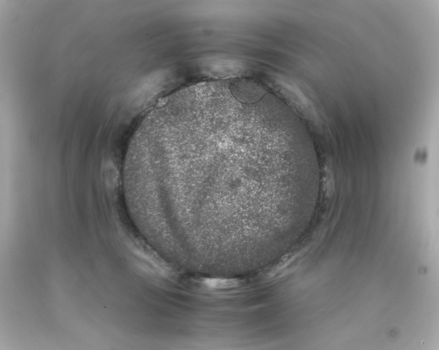 X0000093120371200710241308
