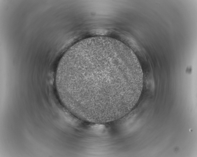 X0000093120374200710241308
