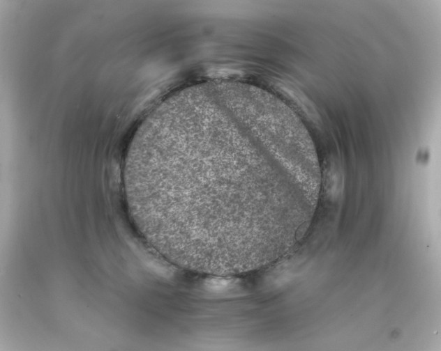 X0000093120375200710241308