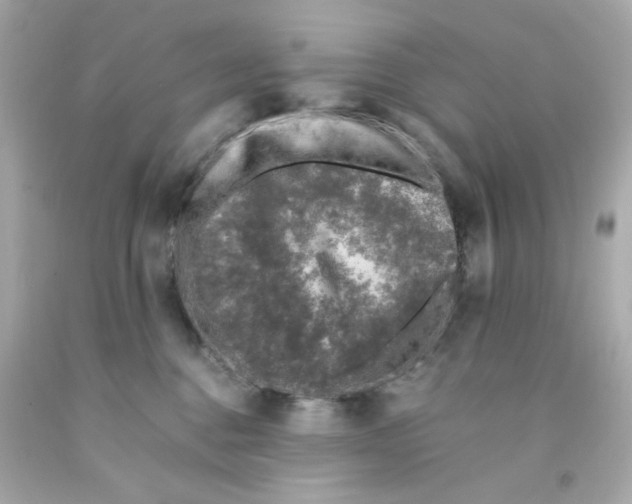 X0000093120376200710241308