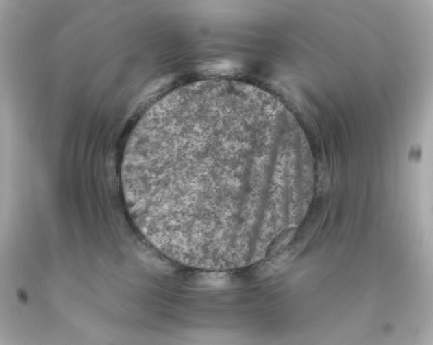 X0000093120377200710241308