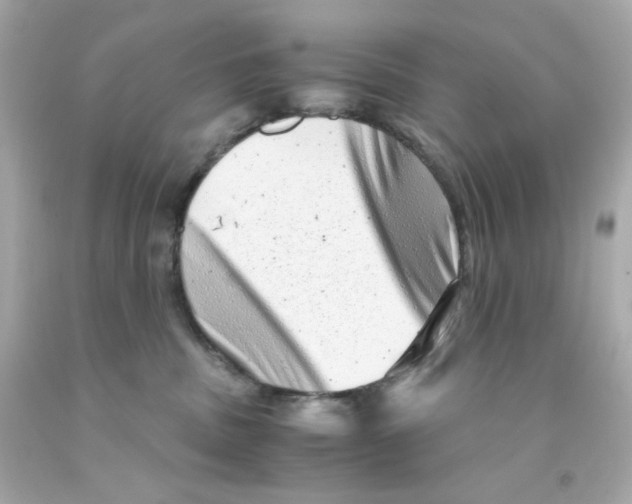 X0000093120379200710241308