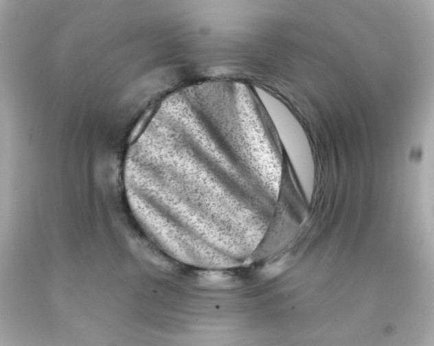 X0000093120380200710241308