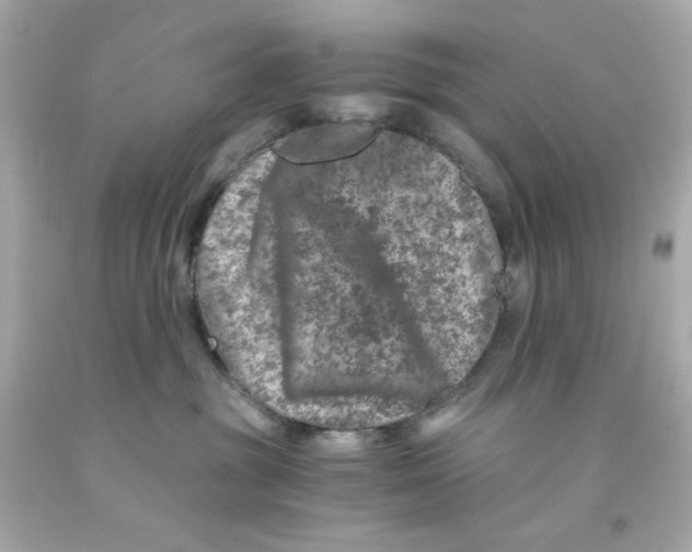 X0000093120381200710241308