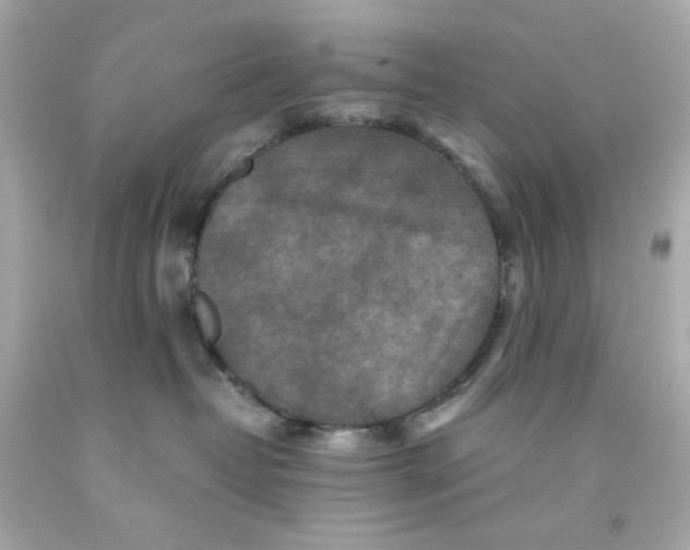 X0000093120382200710241308
