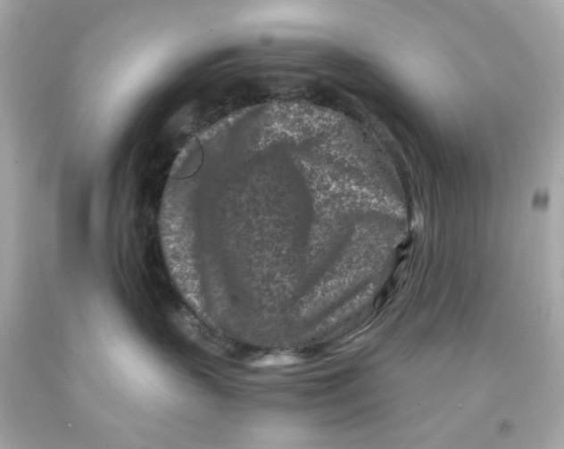 X0000093120383200710241308