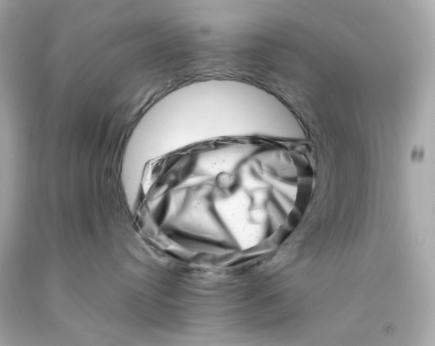 X0000093120384200710241308