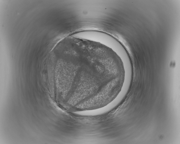 X0000093120385200710241307