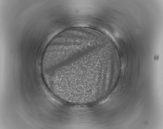 X0000093120386200710241307