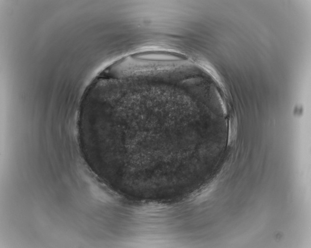 X0000093120387200710241307