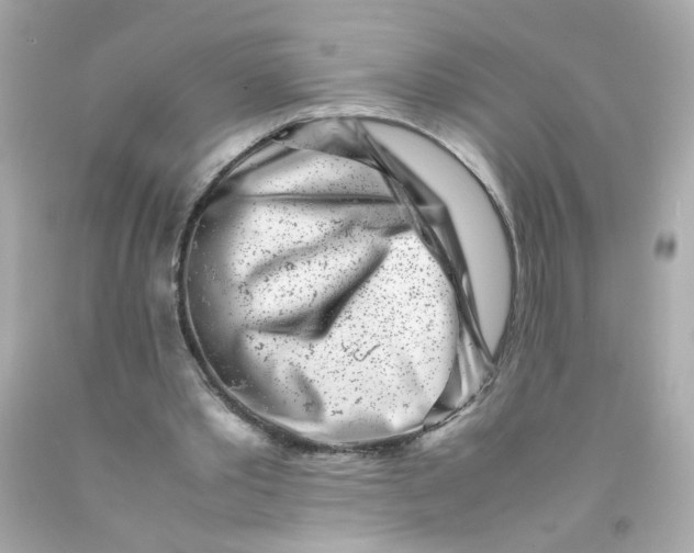 X0000093120389200710241307