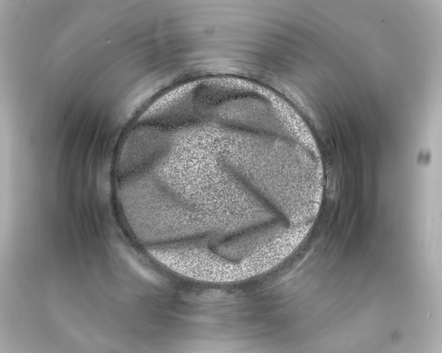 X0000093120390200710241307