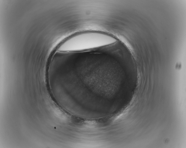 X0000093120391200710241307