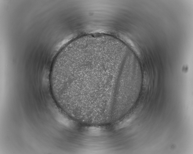 X0000093120394200710241307