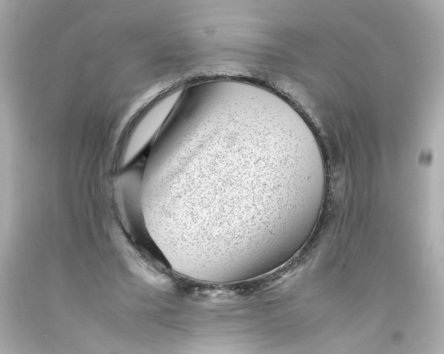 X0000093120395200710241307
