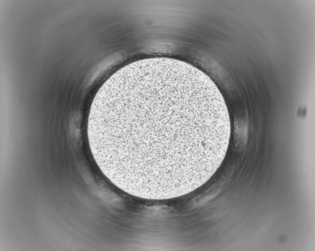 X0000093120396200710241307