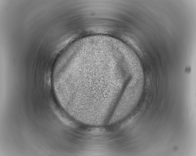 X0000093120398200710241307