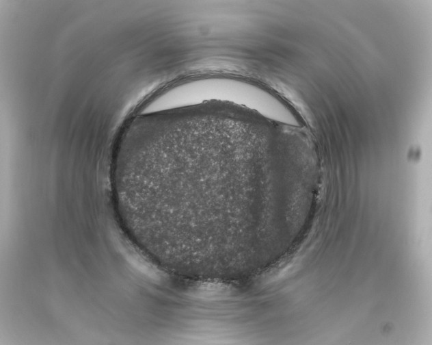 X0000093120399200710241307