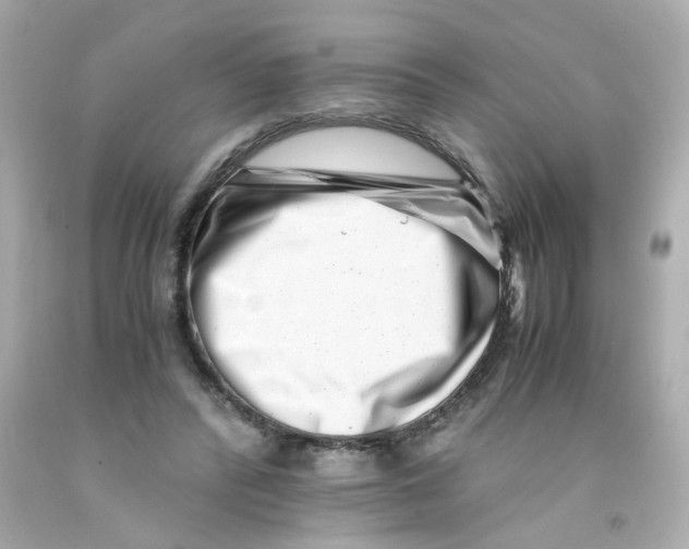 X0000093120400200710241307