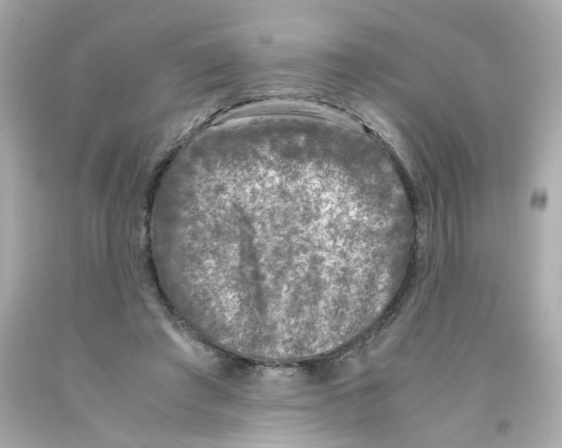 X0000093120401200710241307