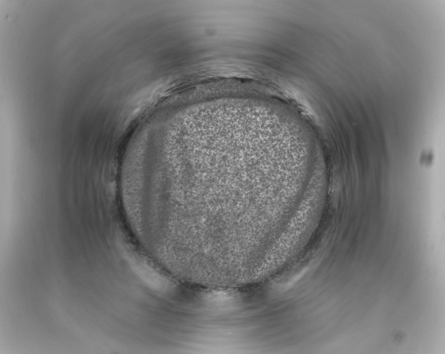 X0000093120402200710241307