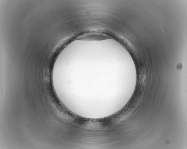 X0000093120403200710241307