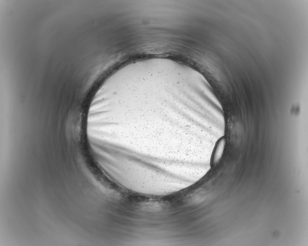 X0000093120404200710241307