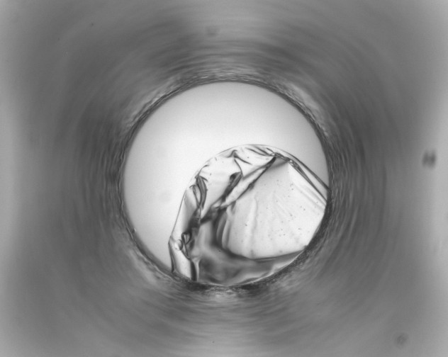 X0000093120405200710241307