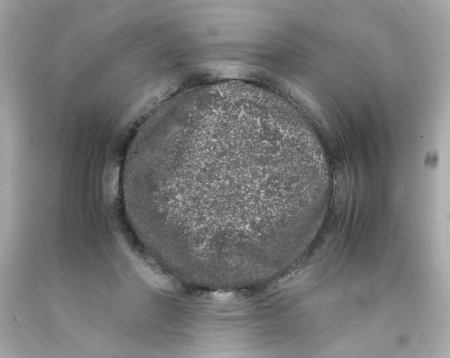 X0000093120406200710241307