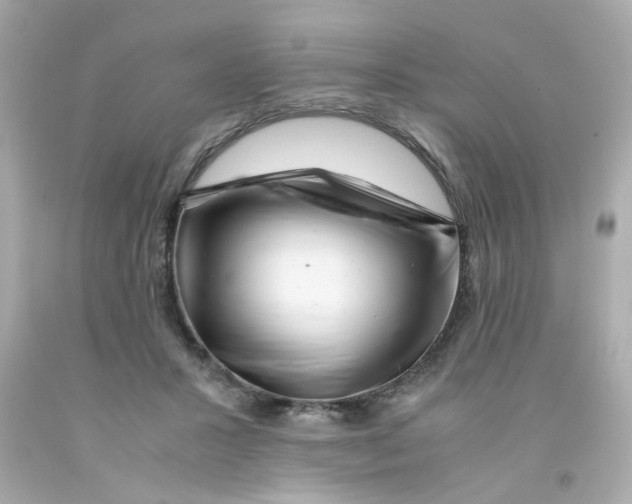 X0000093120407200710241307