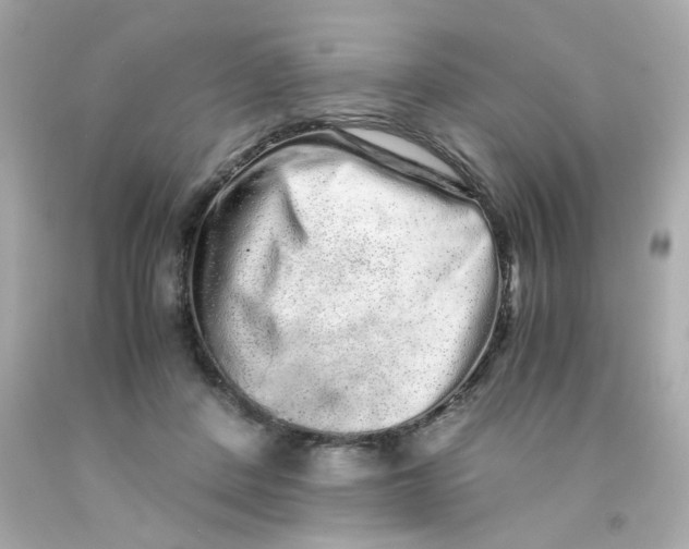 X0000093120408200710241307