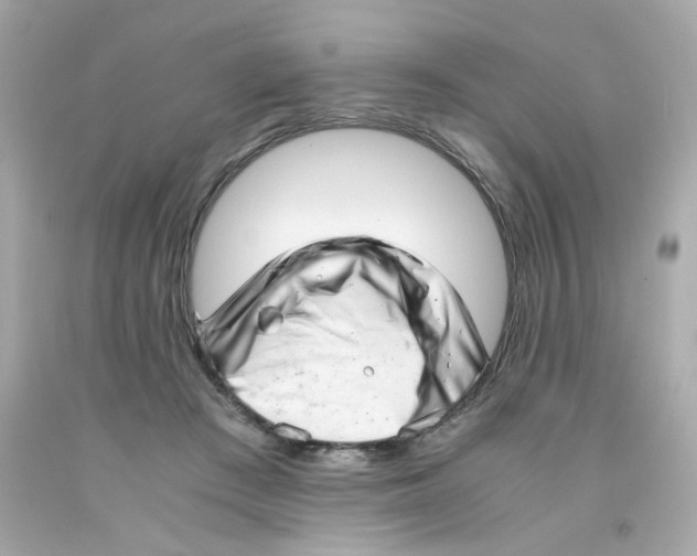 X0000093120409200710241307