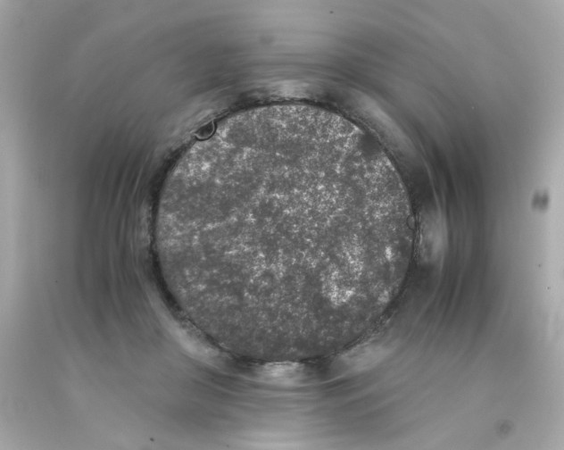X0000093120410200710241307