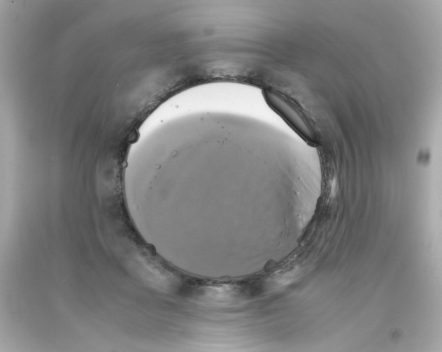 X0000093120411200710241307