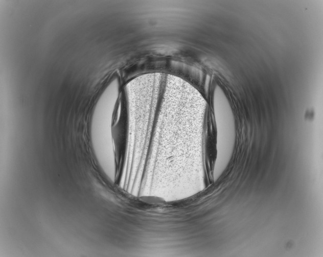 X0000093120412200710241307