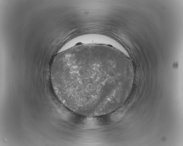 X0000093120413200710241307
