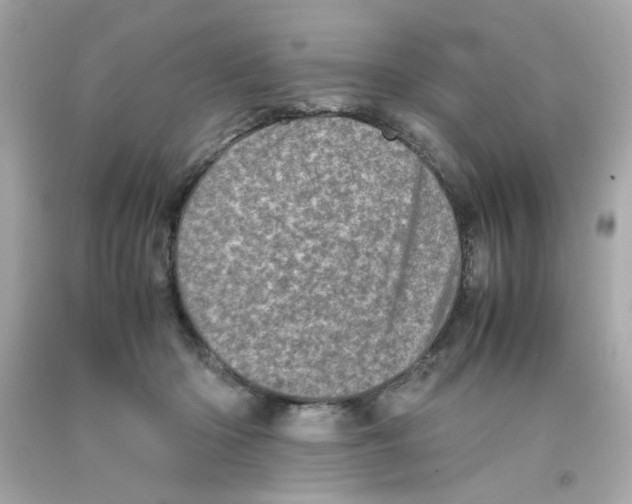 X0000093120414200710241307