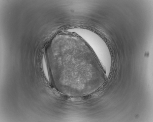X0000093120417200710241307