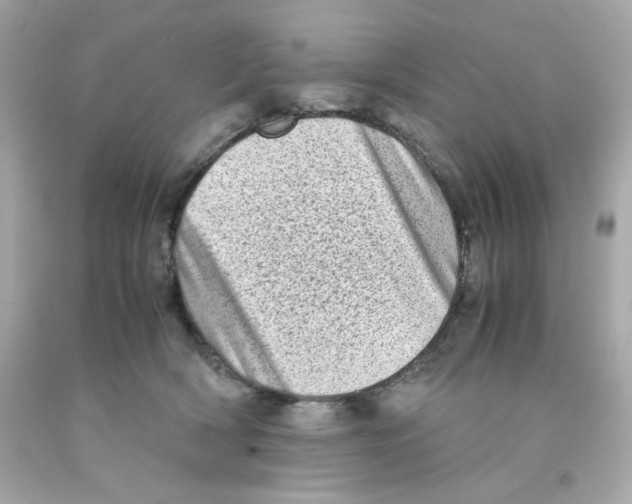 X0000093120418200710241307