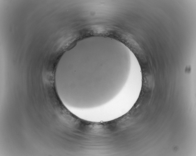 X0000093120419200710241307