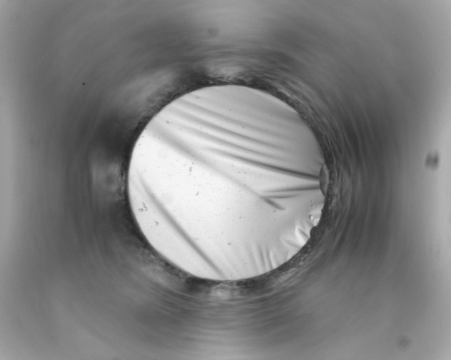 X0000093120420200710241307
