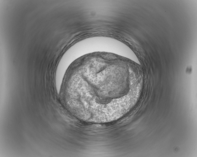 X0000093120421200710241307