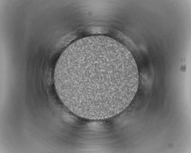 X0000093120422200710241307