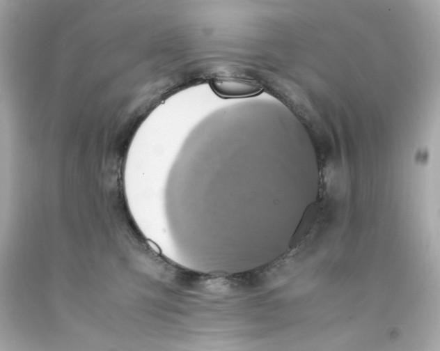X0000093120423200710241307