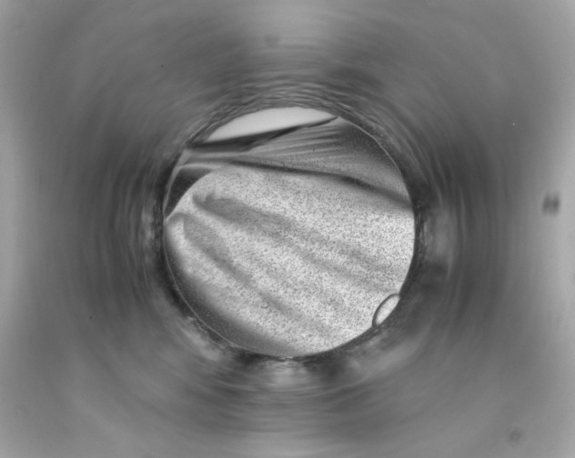 X0000093120424200710241307
