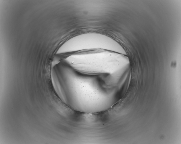 X0000093120425200710241307