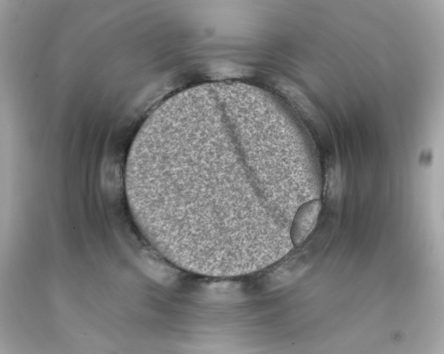 X0000093120426200710241307