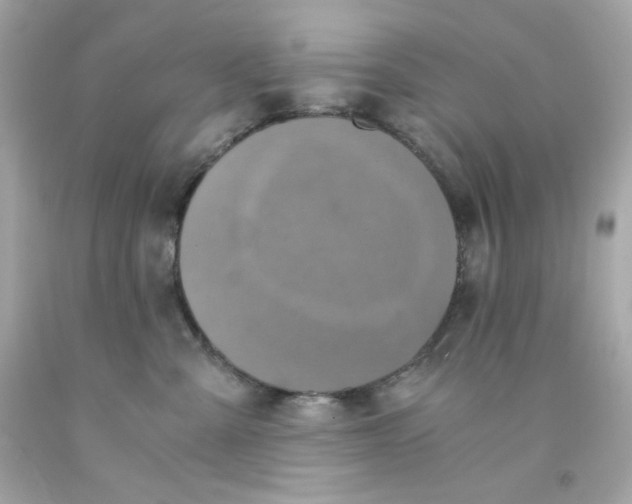 X0000093120427200710241307