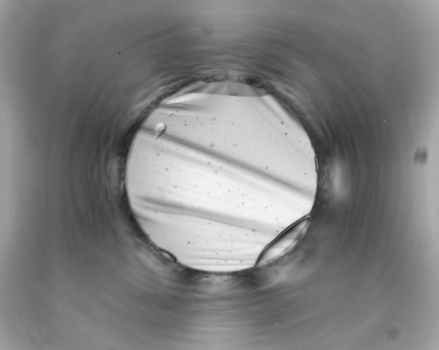 X0000093120428200710241307