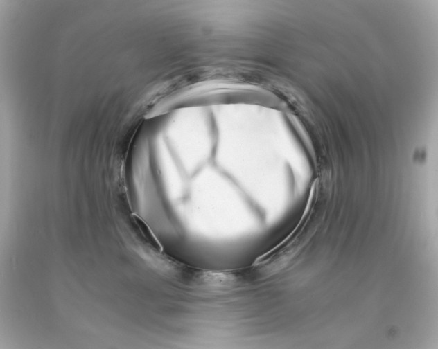 X0000093120429200710241307